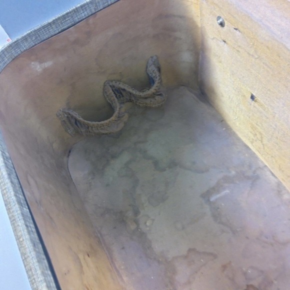 Vintage HORN Rice Stix St Louis Train Case No Key HTF luggage carry on lined - Picture 10 of 12